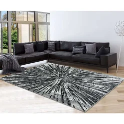 5 x 8 ft Rug