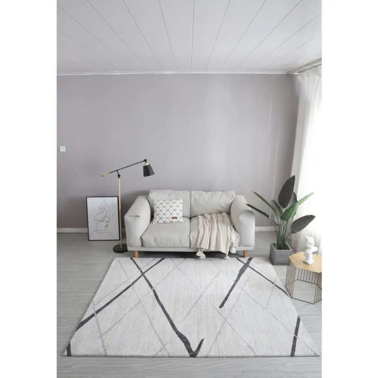 5 x 7 ft Rug