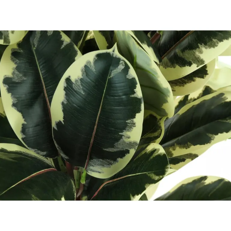Artificial plant - 47"h / indoor oak tree in a 5" pot