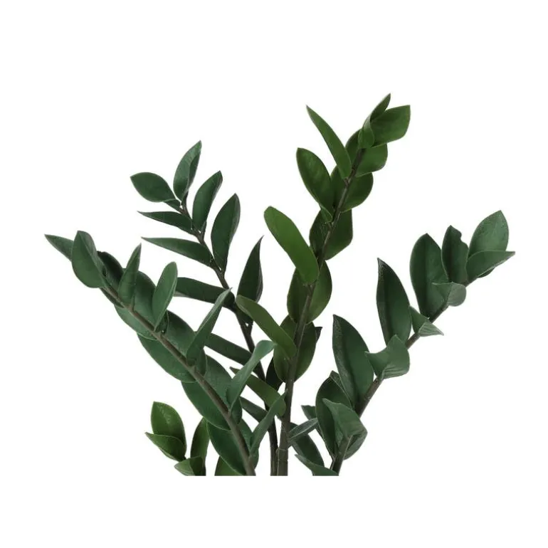 Artificial plant - 29"h / indoor zz in a 6" pot