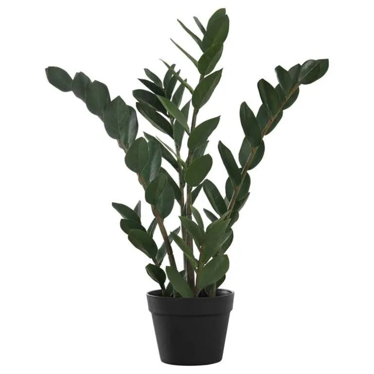Artificial plant - 29"h / indoor zz in a 6" pot