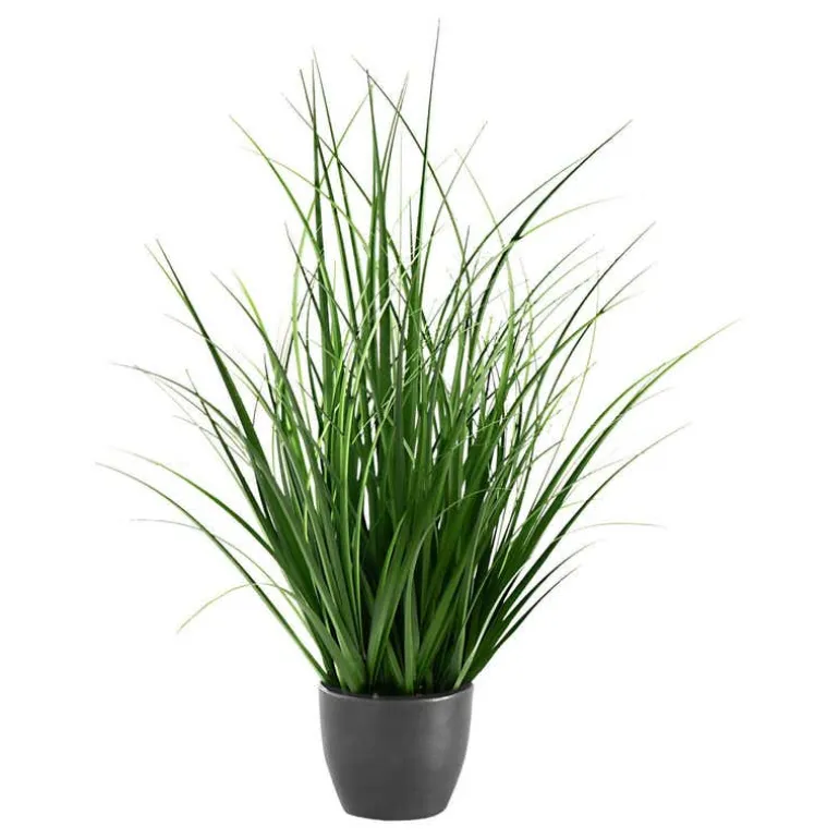 Artificial plant - 23"h / indoor grass in a 4" pot