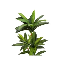 Artificial plant - 51"h / indoor dracaena in a 5" pot