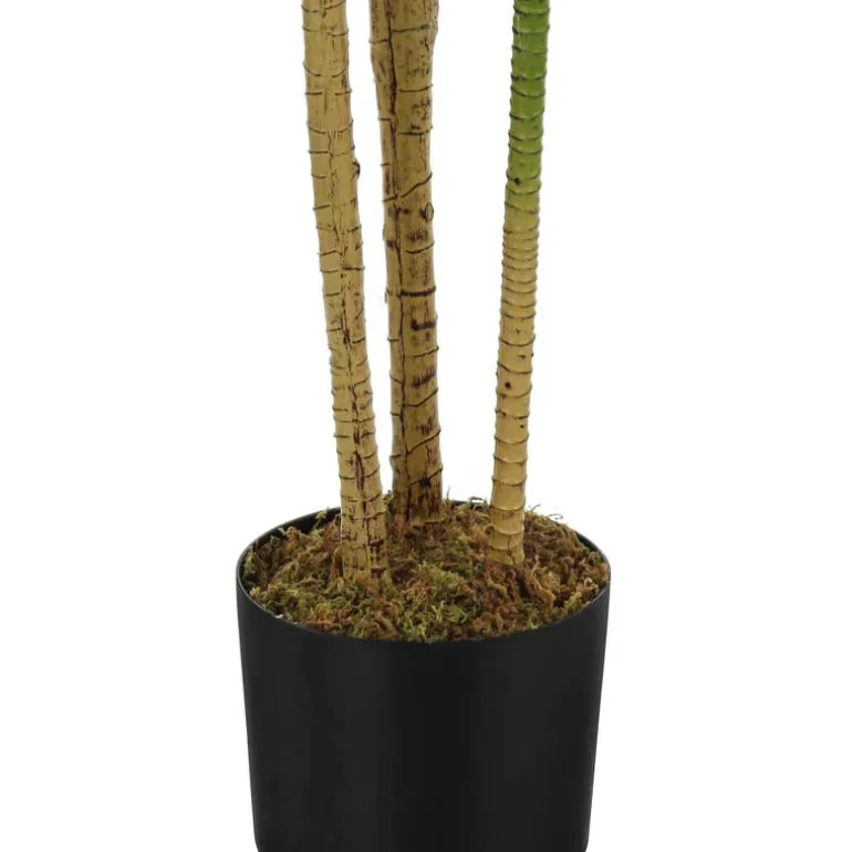 Artificial plant - 51"h / indoor dracaena in a 5" pot
