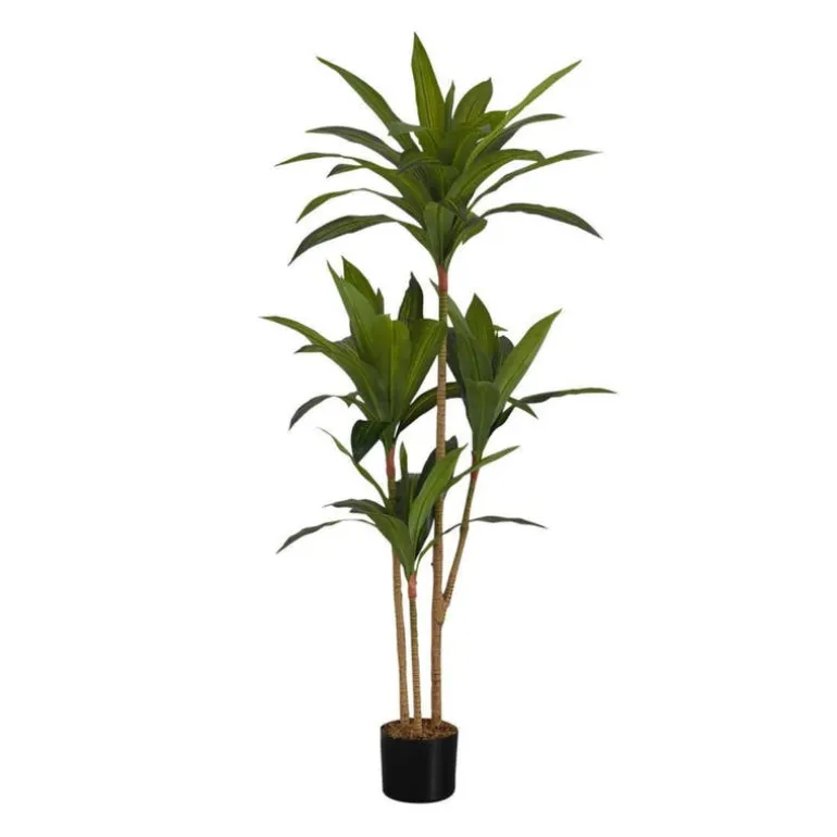 Artificial plant - 51"h / indoor dracaena in a 5" pot