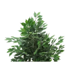 Artificial plant - 58"h / indoor ficus tree in a 6" pot