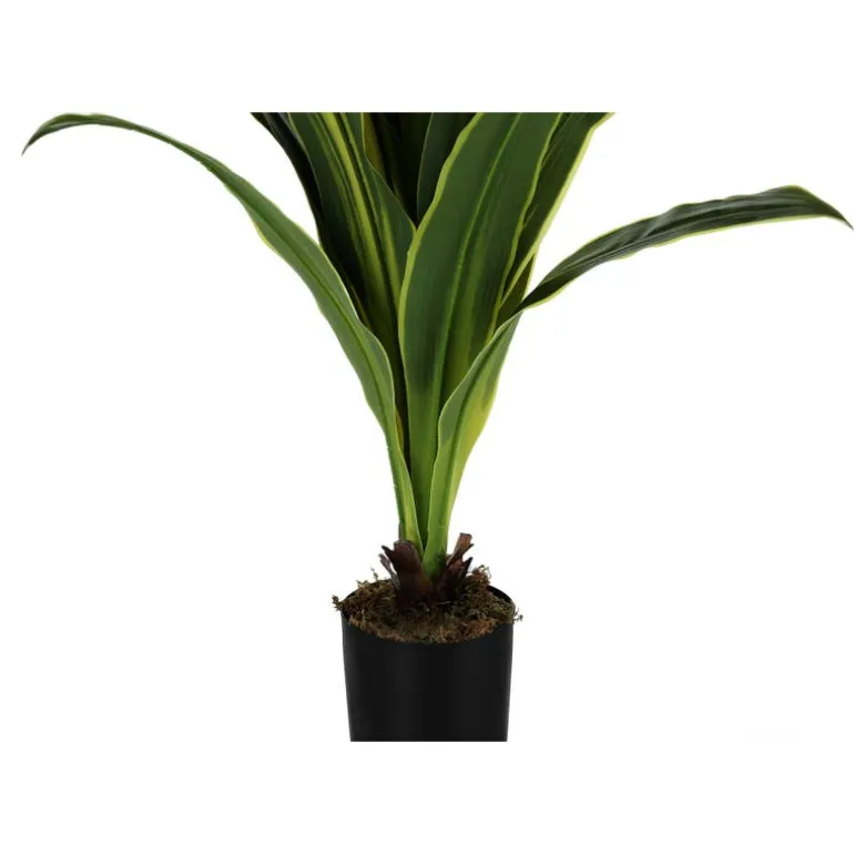 Artificial plant - 47"h / indoor dracaena in a 5" pot