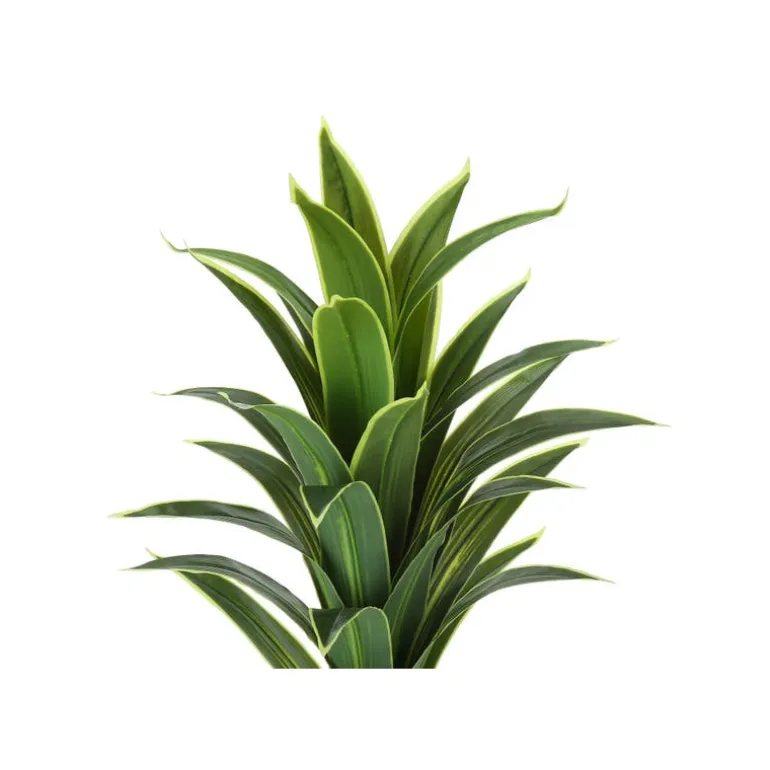 Artificial plant - 47"h / indoor dracaena in a 5" pot