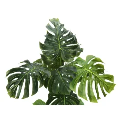 Artificial plant - 55"h / indoor monstera in a 6" pot