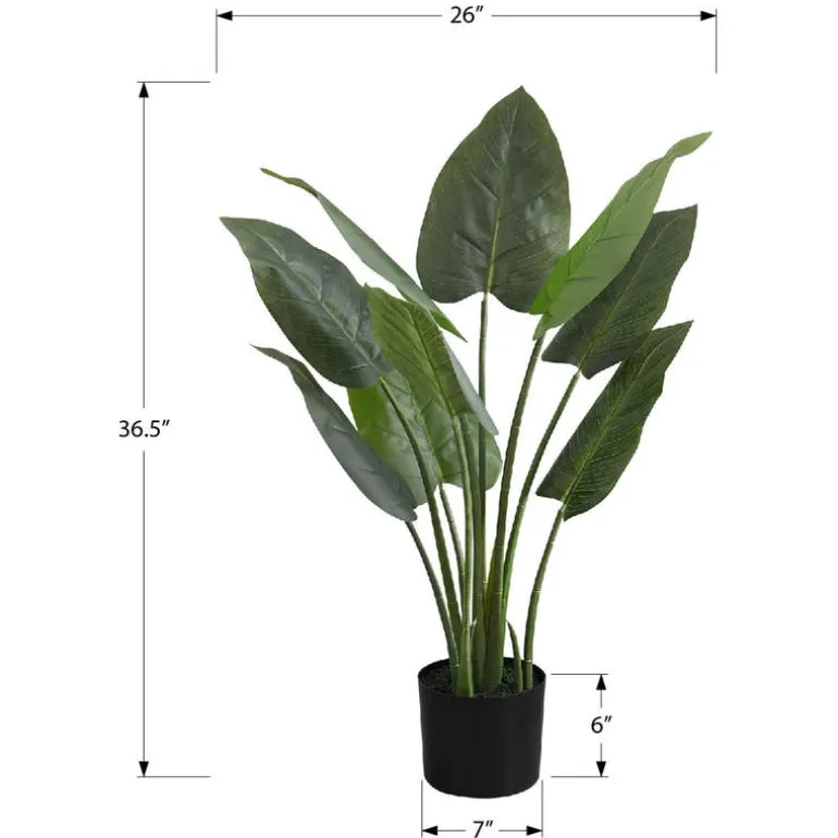 Artificial plant - 37"h / indoor aureum in a 6" pot