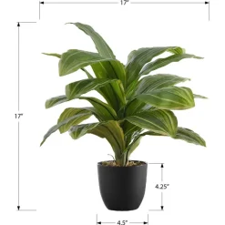 Artificial plant - 17"h / indoor dracaena in a 4" pot
