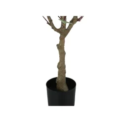 Artificial plant - 46"h / indoor eucalyptus tree/ 5" pot