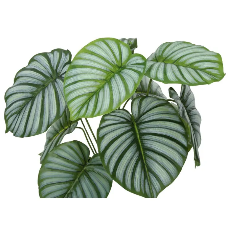 Artificial plant - 24"h / indoor calathea in a 5" pot