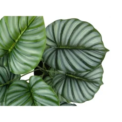 Artificial plant - 24