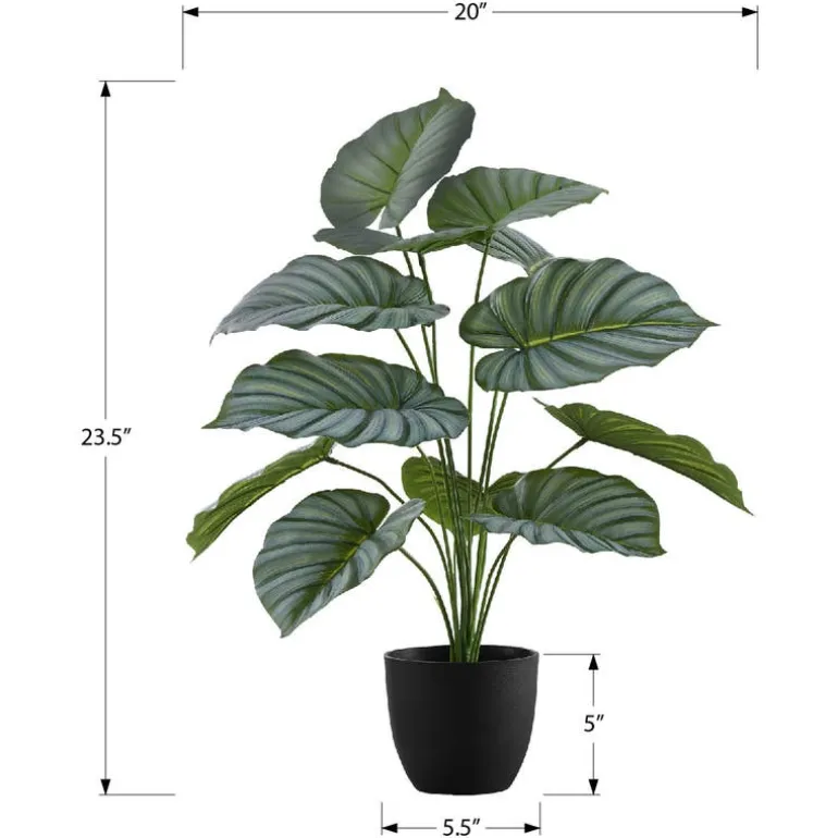 Artificial plant - 24"h / indoor calathea in a 5" pot