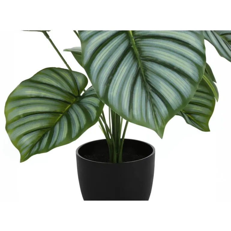 Artificial plant - 24"h / indoor calathea in a 5" pot