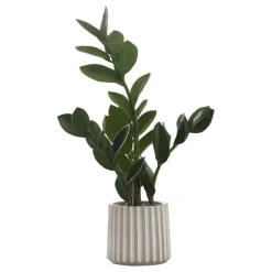 Artificial plant - 20"h / indoor zz in a 5" cement pot