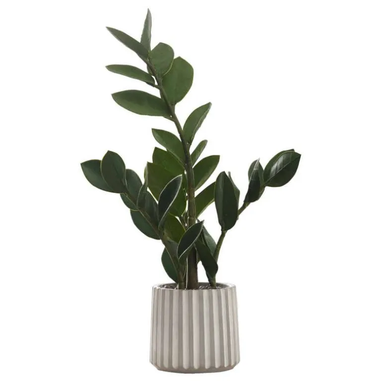 Artificial plant - 20"h / indoor zz in a 5" cement pot