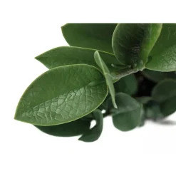 Artificial plant - 20