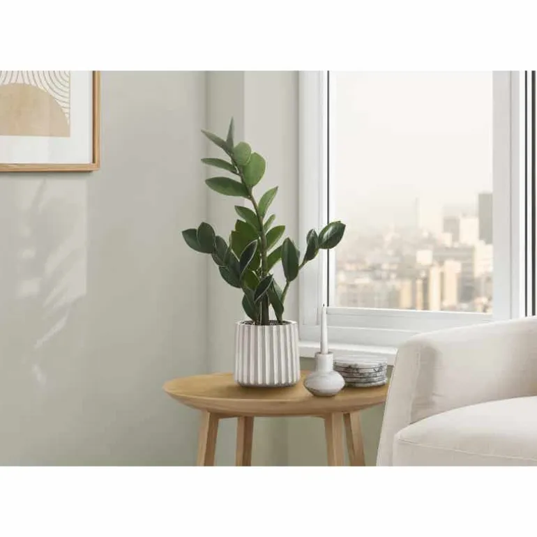 Artificial plant - 20"h / indoor zz in a 5" cement pot