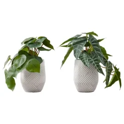 Artificial plant - 2pcs / 8"h alocasia / 5" cement pot