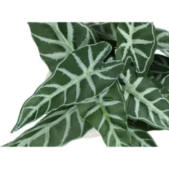 Artificial plant - 2pcs / 8