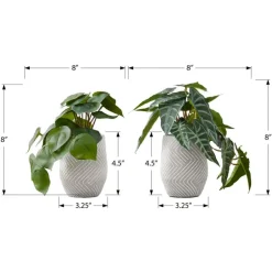 Artificial plant - 2pcs / 8