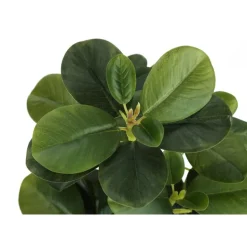 Artificial plant - 2pcs / 14"h ficus elastica in 4" pot
