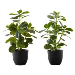 Artificial plant - 2pcs / 14