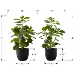 Artificial plant - 2pcs / 14