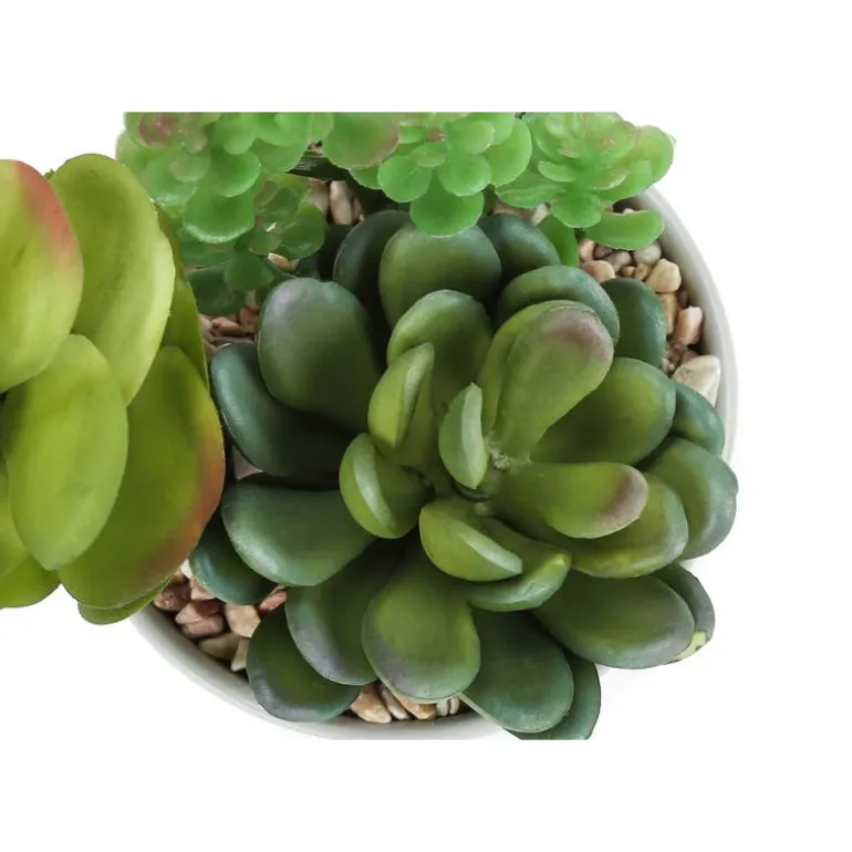 Artificial plant - 2pcs / 7"h succulent in 3" ceramic pot