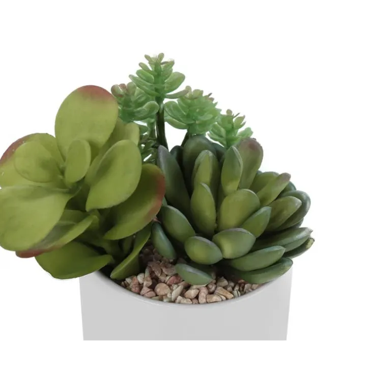 Artificial plant - 2pcs / 7"h succulent in 3" ceramic pot