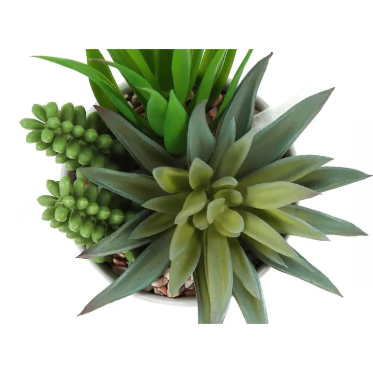 Artificial plant - 2pcs / 7"h succulent in 3" ceramic pot