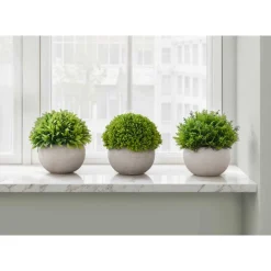Artificial plant - 3pcs / 5
