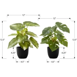 Artificial plant - 2pcs / 13"h monstera/calathea/ 4" pot