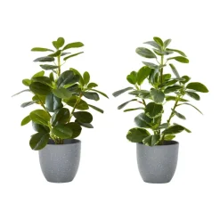 Artificial Plant 14" (set of 2)