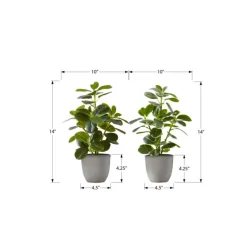 Artificial Plant 14