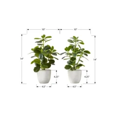Artificial Plant 14" (set of 2)