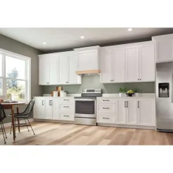 BROAN Range Hood Built-in Stainless Steel 21.5" , 450 CFM - PM400SS