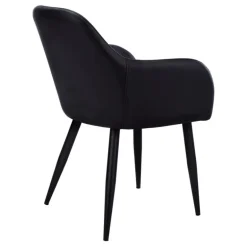 Chairs with Arms (Set of 2) - Black - Monarch