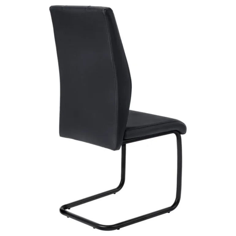 Chairs with Black Base (Set of 2) - Black - Monarch