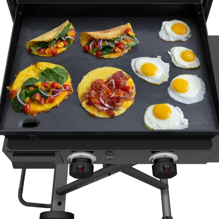 Charbroil 22 in Portable Propane Gas Griddle with Folding Cart and 2 Burners - 24 000 BTU