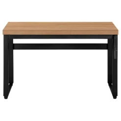 Computer desk - adjustable height / standing desk / thick table top - 48