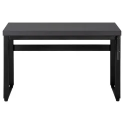 Computer desk - adjustable height / standing desk / thick table top - 48