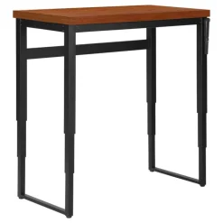 Computer desk - adjustable height / standing desk / thick table top - 48