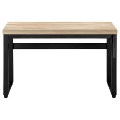 Computer desk - adjustable height / standing desk / thick table top - 48