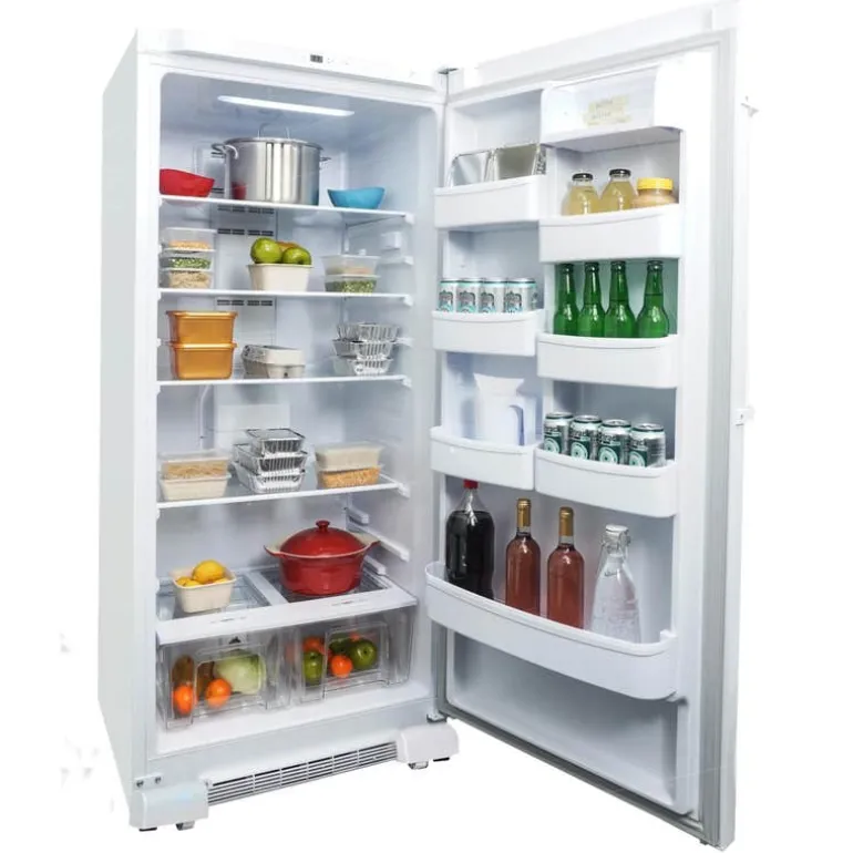 DANBY 17 cu ft 30 In all refrigerator White All refrigerator - DAR170A3WDD