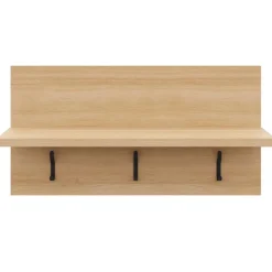Entryway Wall-Mounted Coat Rack with Shelf
