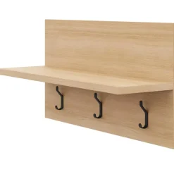 Entryway Wall-Mounted Coat Rack with Shelf