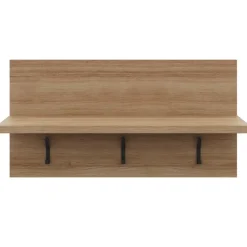 Entryway Wall-Mounted Coat Rack with Shelf